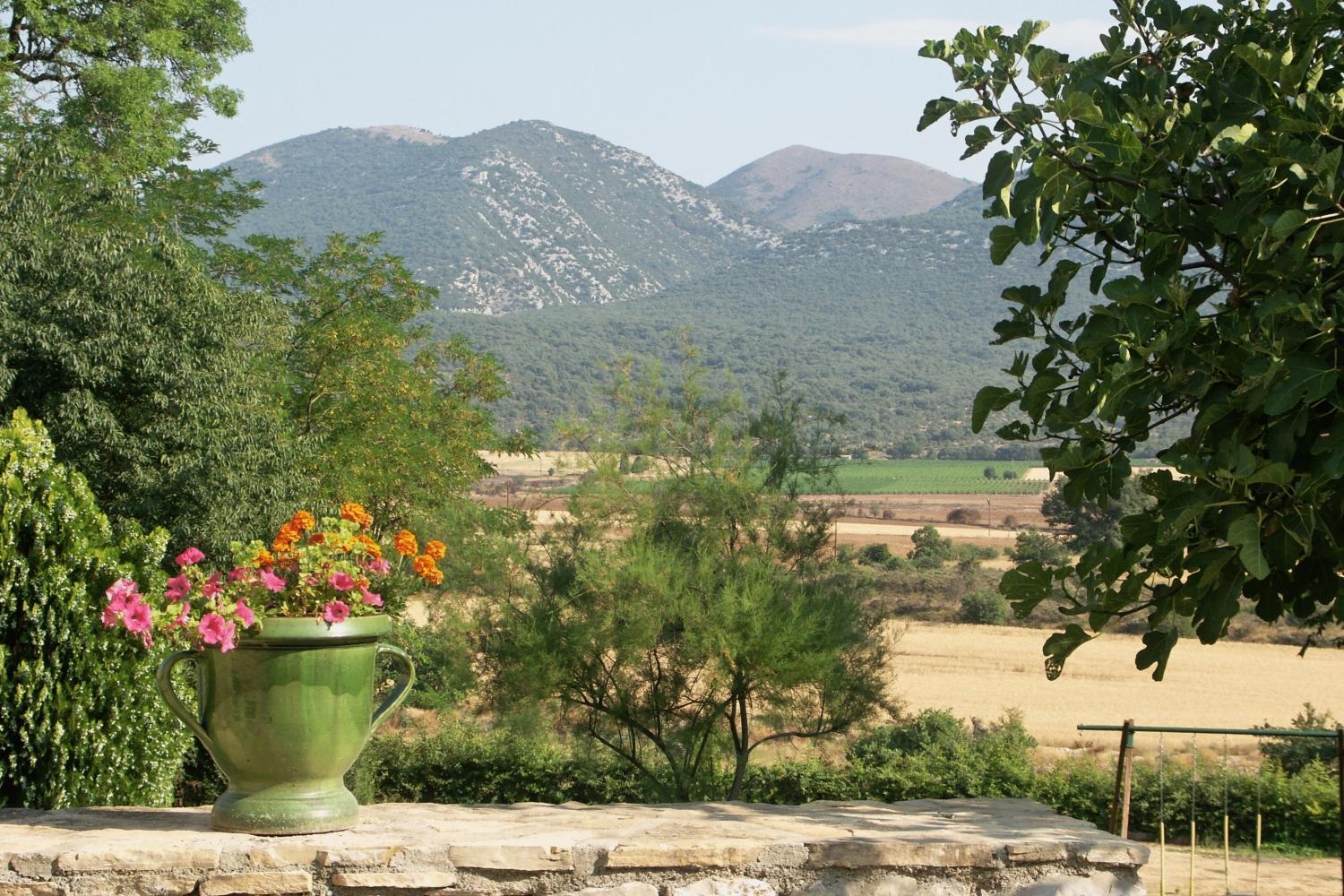 Domaine De Blancardy Hotel Moulès-et-Baucels Eksteriør billede